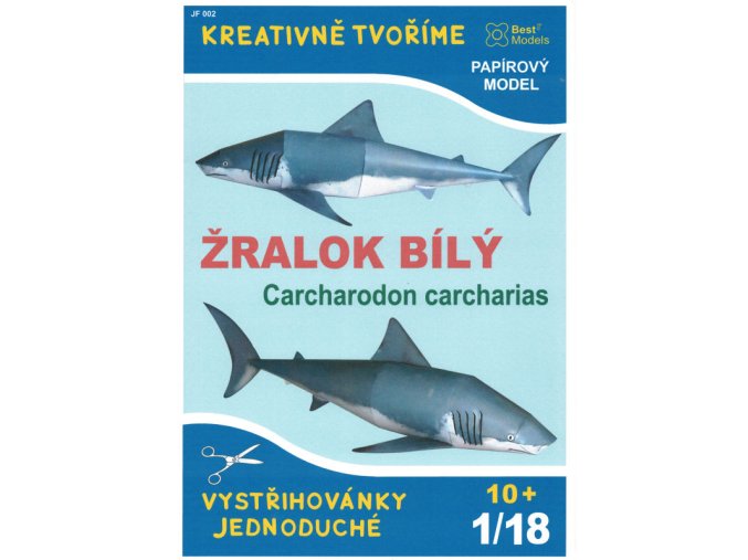 Žralok bílý (Carcharodon carcharias)