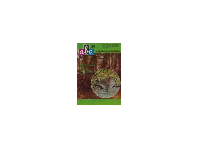 ABC C 29 24