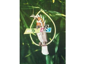 ABC 2108b01