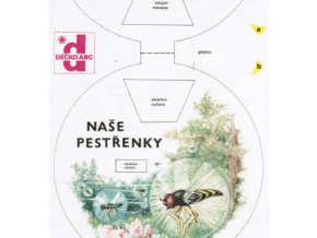 Naše pestřenky - Hmyzí helikoptéry