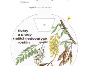 Květy a plody našich jedovatých rostlin