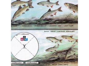 ABC 3419a01