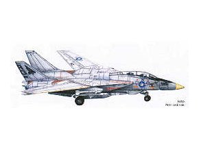 Grumman F-14A Tomcat