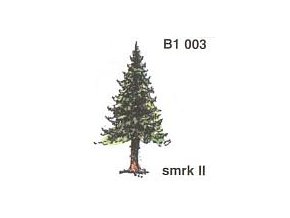 WDSB1003