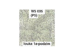 WDSW5005