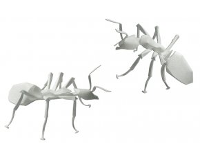 Mravenec lesní - Formica rufa