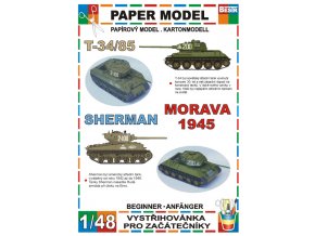 T-34/85 + Sherman - Morava 1945