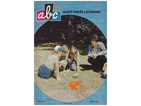 ABC C 31 19