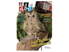 ABC C 36 22