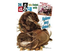 ABC C 39 24