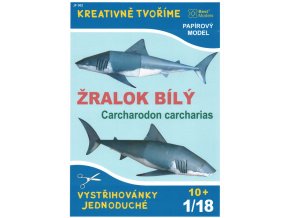 Žralok bílý (Carcharodon carcharias)
