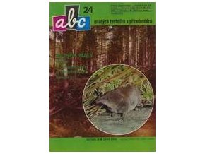 ABC C 29 24