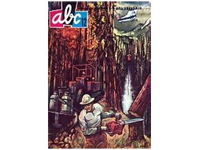 ABC C 13 12