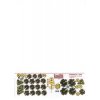 ABC 4306c01