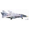 Grumman F-14A Tomcat