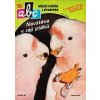 ABC C 34 18