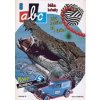ABC C 37 06