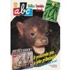 ABC C 38 17