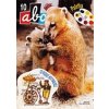 ABC C 40 10