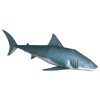 Žralok bílý (Carcharodon carcharias)