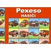 CZ MIGAS PXS 01 o01
