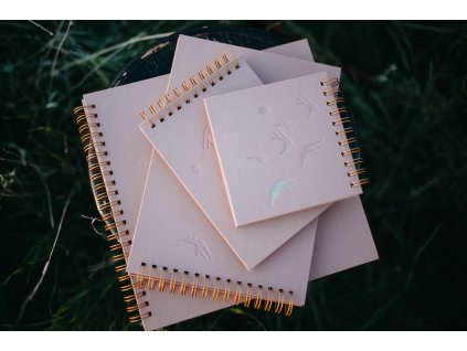 Papirnici mohyla 12 06 23 375