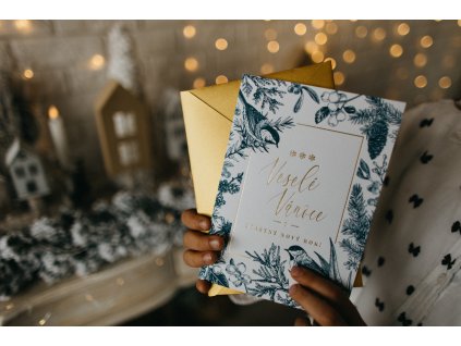 Papirnici Vanoce 07 11 21 101