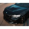 Přední blatníky s odvětráváním Kovaný karbon - BMW M2/M2C