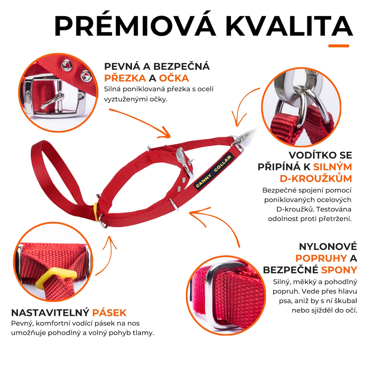 3_features_CZ