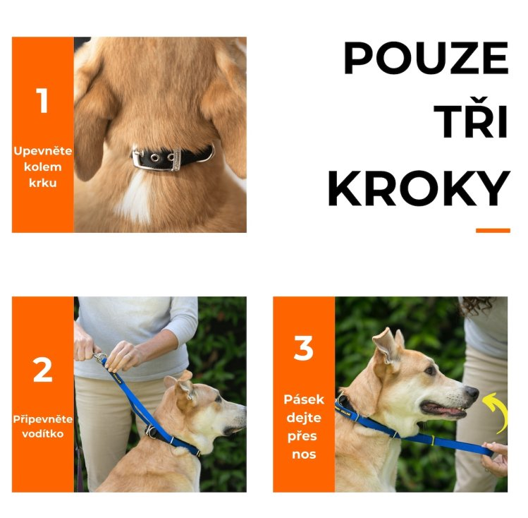 Canny_Collar_ohlavka_a_obojek_proti_tahani_nasazeni