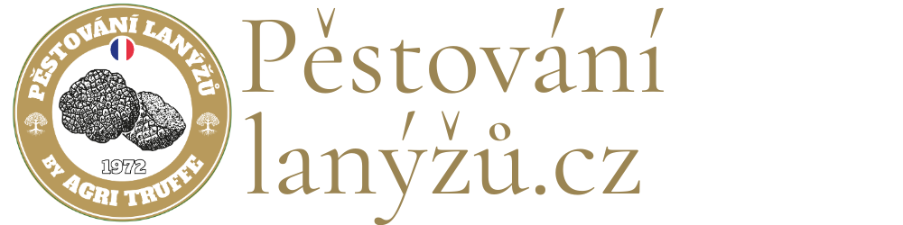 Pěstování lanýžů