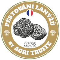 Pěstování lanýžů