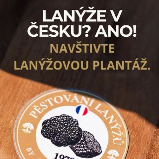 PĚSTOVAT LANÝŽE MŮŽETE I VY🍄 Dárkové vouchery a vstupenky na podzimní workshopy najdete přes odkaz v bio. Zažijte...
