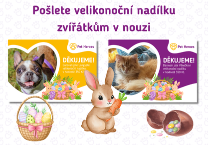 Pošlete velikonoční nadílku zvířátkům v nouzi