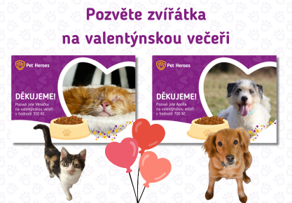 Pozvěte zvířátka na valentýnskou večeři! ❤️