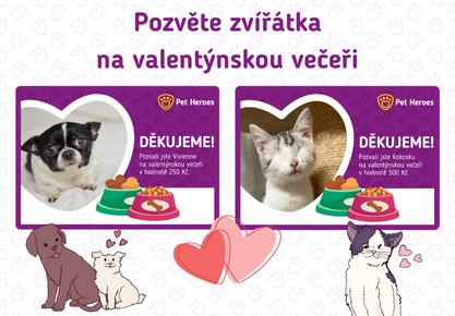 Pozvěte zvířátka na valentýnskou večeři! ❤️