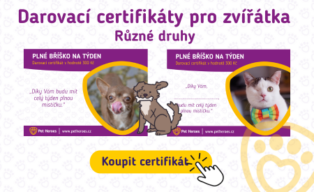 Darovací certifikáty na pomoc zvířátkům