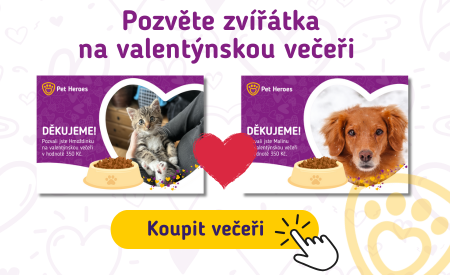 Valentýnská večeře pro zvířátka - dar