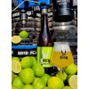 Brutal Lime & Salt 12°
