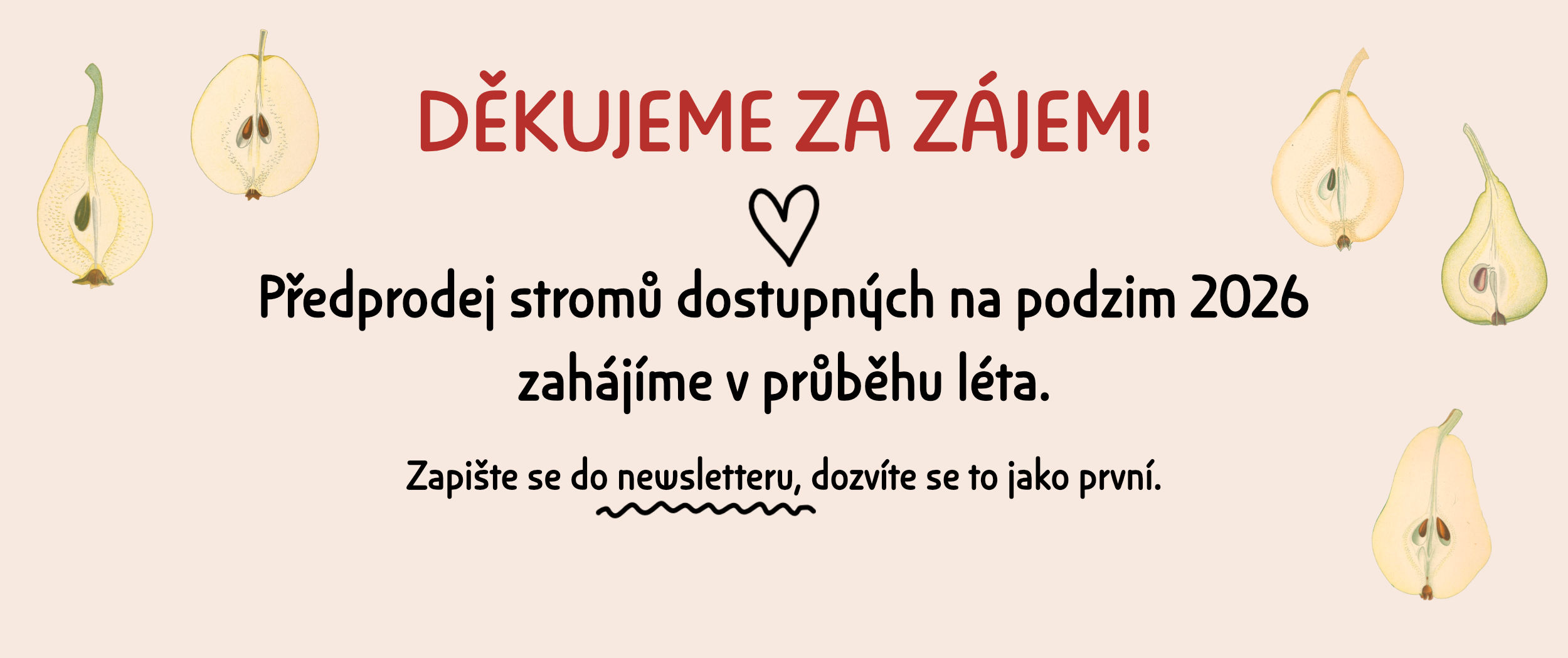 Předprodej bude od léta, zapište se na newsletter