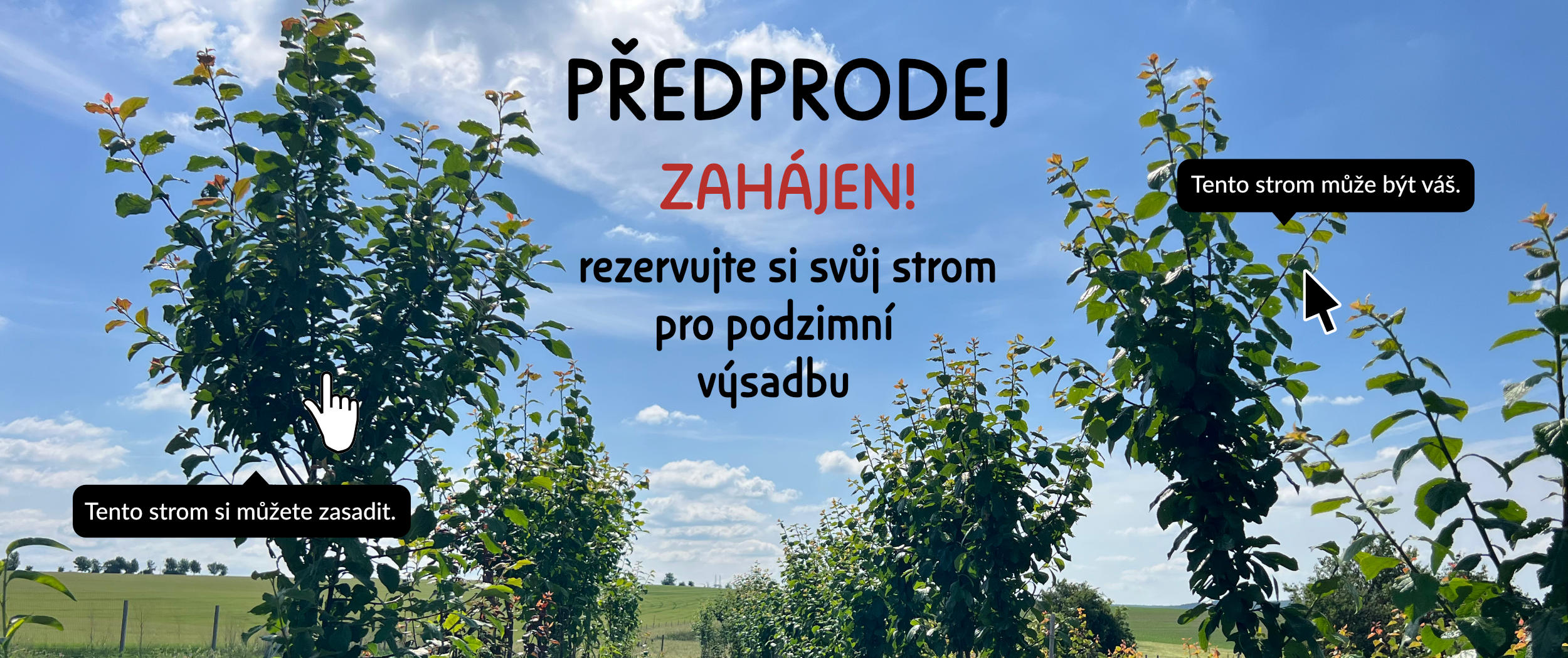 Rezervujte si svůj strom pro podzimní výsadbu