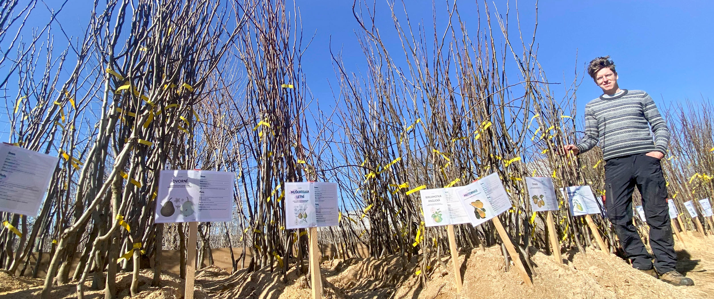Dominik Grohmann před prodejnou ovocných stromů