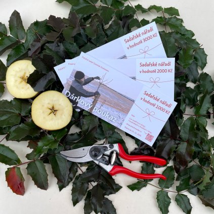 Darkove vouchery tipy na vanocni darky