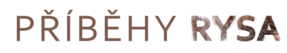 Příběhy rysa