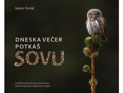 sovy kniha obalka 3