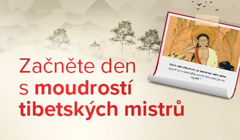 MOST ProTibet