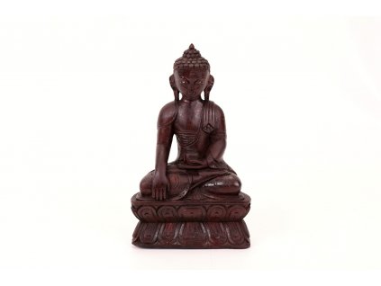 Soska Buddha drevena 25 cm