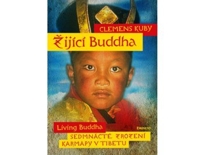 zijici buddha