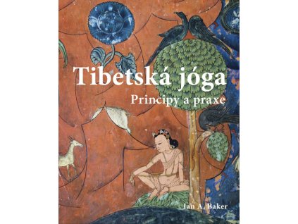 Tibetska joga