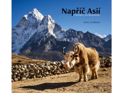 Napric Asii